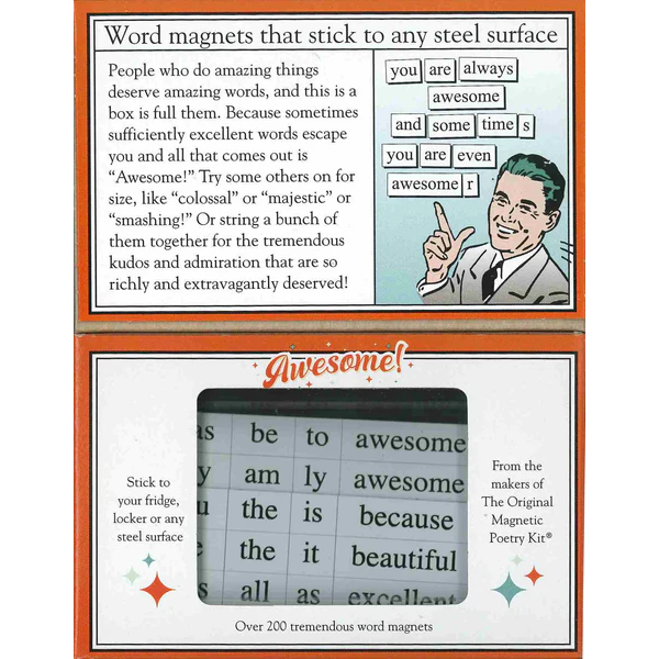 Magnetic Poetry Word Magnets Pack - Awesome!