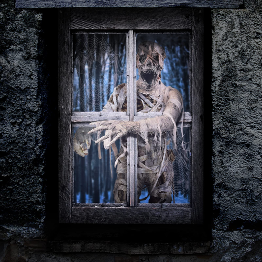 Halloween Scary Skeleton Mummy Window Cover