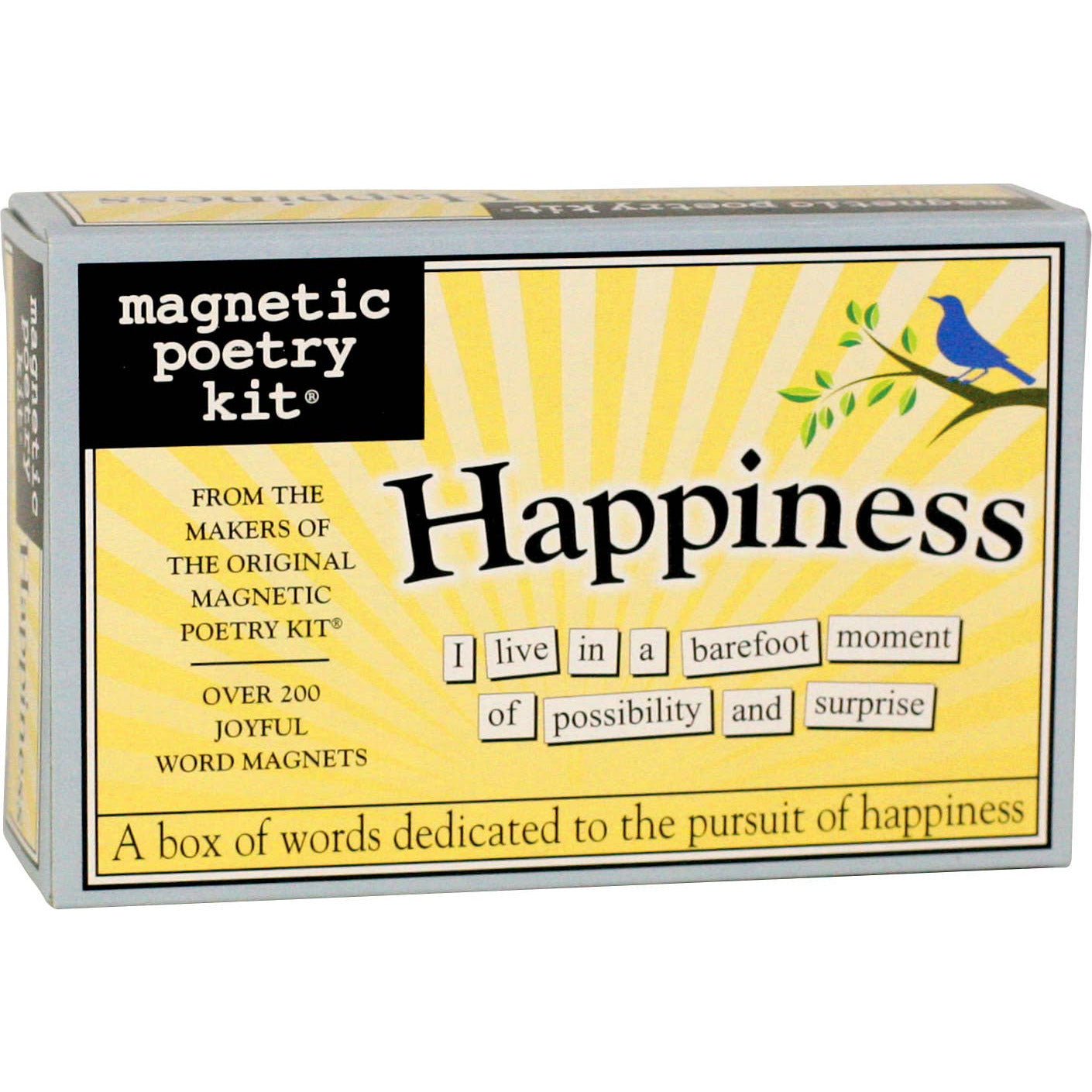 Magnetic Poetry Word Magnets Pack - Happiness